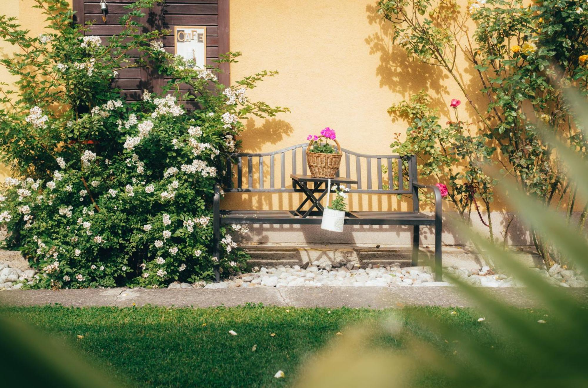 Apartmany Friends Liptov Liptovský Mikuláš 外观 照片